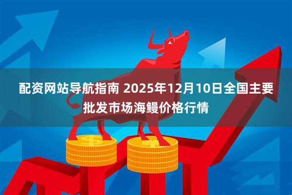配资网站导航指南 2025年12月10日全国主要批发市场海鳗价格行情